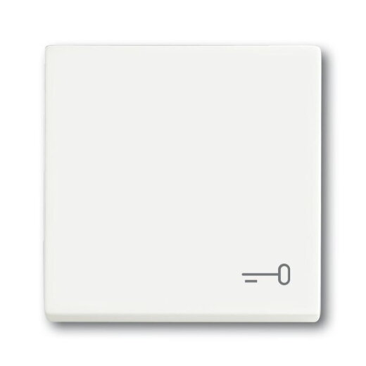 Busch-Jaeger Wippe 2520 TR-884 Symbol Schlüssel