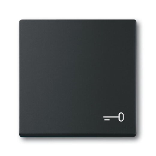 Busch-Jaeger Wippe 2520 TR-885 Symbol Schlüssel