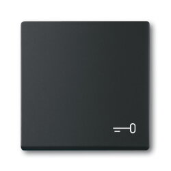 Busch-Jaeger Wippe 2520 TR-885 Symbol Schlüssel