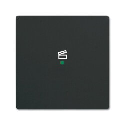 Busch-Jaeger Wippe 6233-10-885 1fach Szene