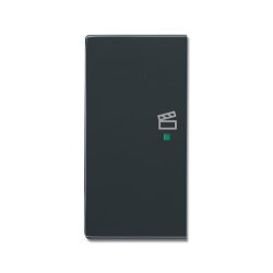 Busch-Jaeger Wippe 6233-21-81 2fach links Symbol Szene