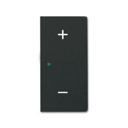 Busch-Jaeger Wippe 6237-22-885 2fach rechts Volume