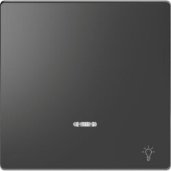 Merten Wippe Kontrollfenster+Kennz. Licht anthrazit