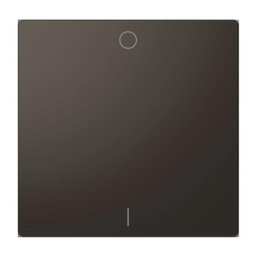 Merten Wippe Anthrazit System Design