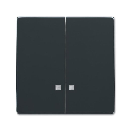 Busch-Jaeger Wippe 1785 K-81