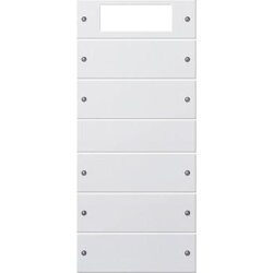 Gira Set 219527 5fach Plus System 55 rw matt