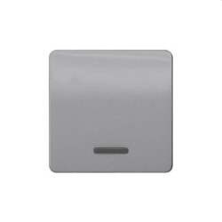 Siemens Wippe mit Fenster silber 5TG7920