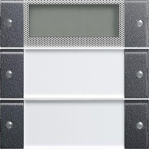 Gira Set 214228 2fach Plus BSF System 55 Klar/ant