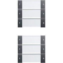 Gira Set 213628 6fach BSF System 55 Klar/ant