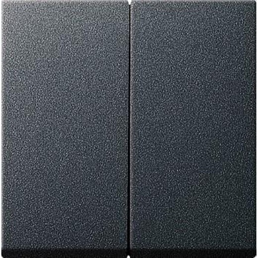 Gira Serienwippe 029528 System 55 anthrazit