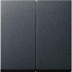 Gira Serienwippe 029528 System 55 anthrazit