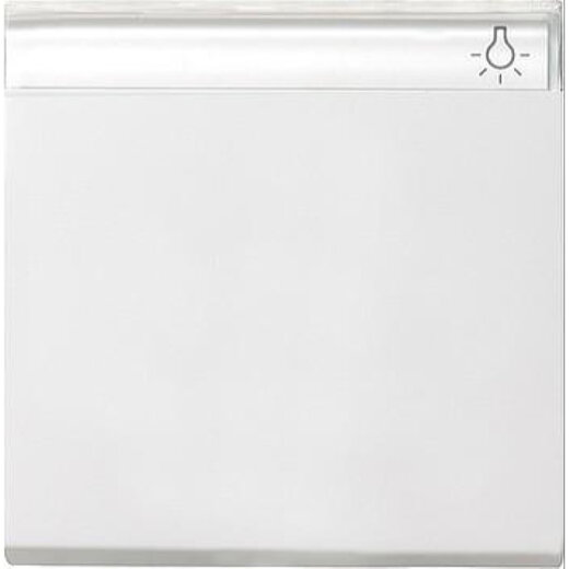 Gira Wippe 029927 BSF System 55 reinweiss matt