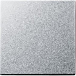 Gira Wippe 029626 Wechsel System 55 Farbe Alu