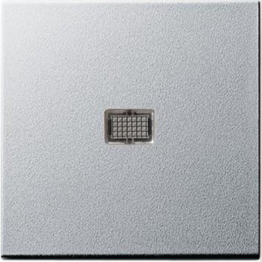 Gira Wippe 029826 Kontrollfenster gros System55 Alu