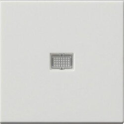 Gira Wippe 029827 Kontrollfenster System 55 rwm