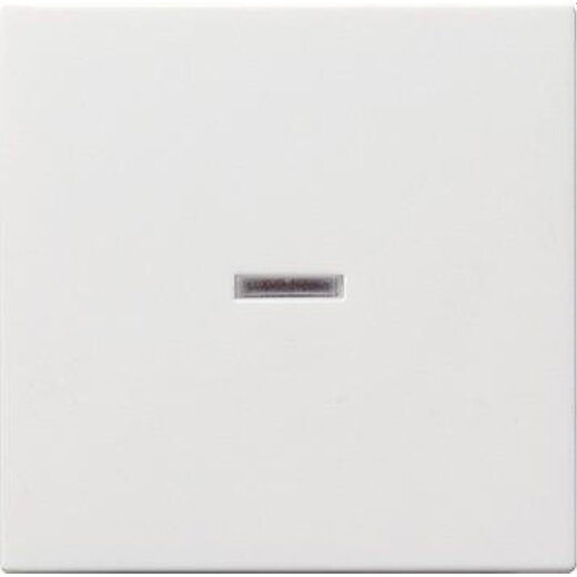 Gira Wippe 029027 Kontrollfenster System 55 rw matt