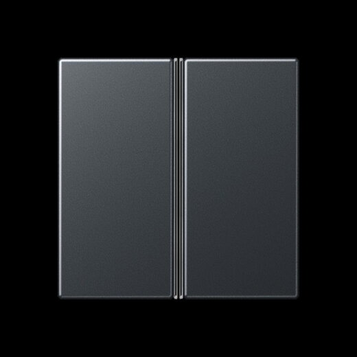 Jung Tastensatz 2fach, F40, Serie A, anthrazit matt A402TSAANM