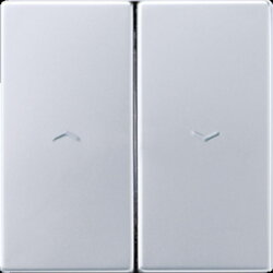 Jung Wippe 2fach, Symbol Pfeil (geprägt), Serie LS,...