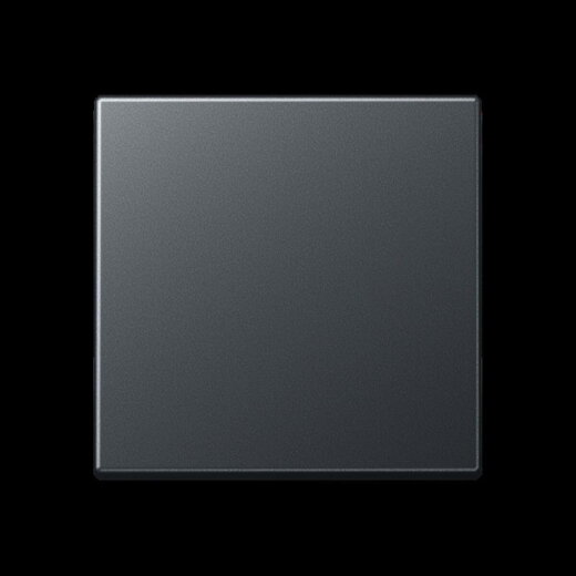 Jung Wippe 1fach, Thermoplast lackiert, Serie A, anthrazit matt A590BFANM