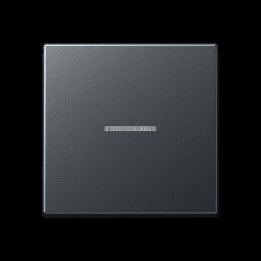 Jung Wippe 1fach mit Lichtleiter, Thermoplast lackiert, Serie A, anthrazit matt A590BFKO5ANM
