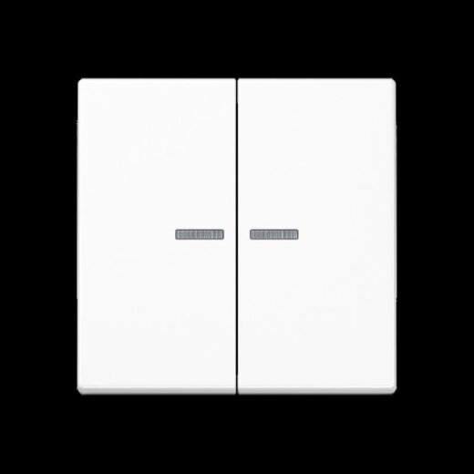 Jung Wippe 2fach mit Lichtleiter, Thermoplast, Serie A, alpinweiß A595BFKO5WW