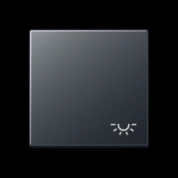 Jung Wippe 1fach, Symbol Licht, Thermoplast lackiert,...