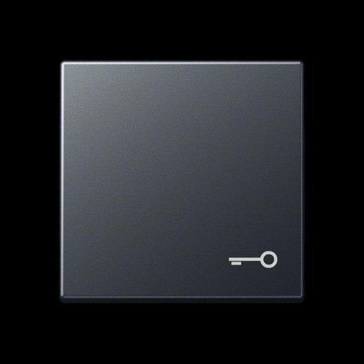 Jung Wippe, Symbol Tür, Thermoplast lackiert, Serie A, anthrazit matt A590BFTANM