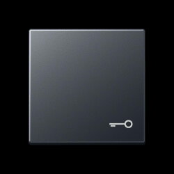 Jung Wippe, Symbol Tür, Thermoplast lackiert, Serie...