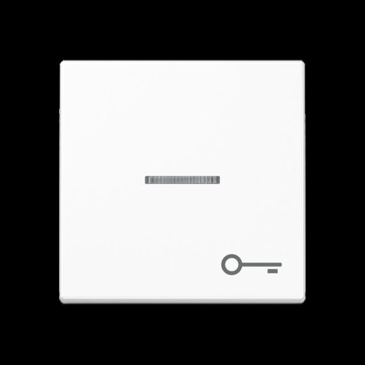 Jung Wippe mit Lichtleiter, Symbol Tür, Thermoplast, Serie A, alpinweiß A590BFKO5TWW