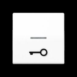 Jung Wippe mit Lichtleiter, mit abtastbarem Symbol...