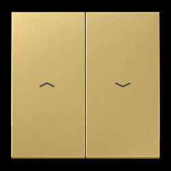 Jung Wippe 2fach, mit Pfeilsymbolen, Messing, Serie LS,...