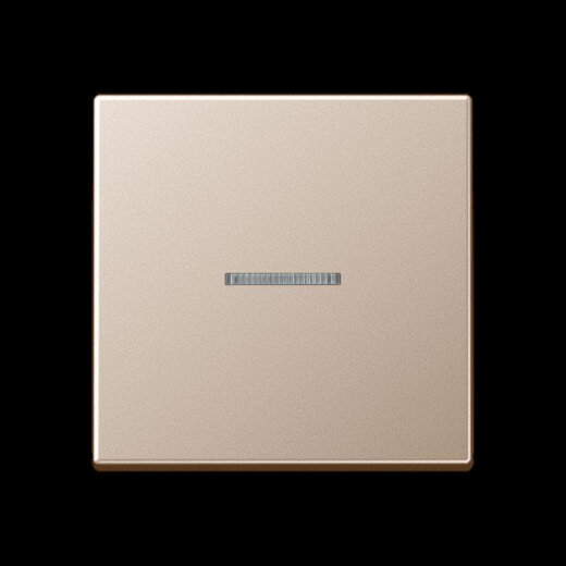 Jung Wippe 1fach mit Lichtleiter, Serie A, champagner A590KO5CH