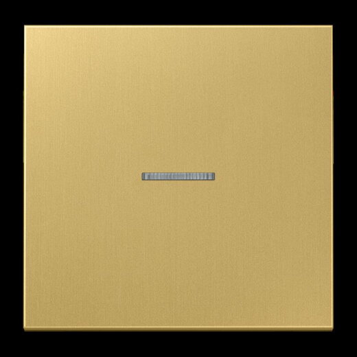 Jung Wippe 1fach mit Lichtleiter, Messing, Serie LS, Messing classic ME2990KO5C