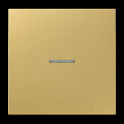 Jung Wippe 1fach mit Lichtleiter, Messing, Serie LS,...