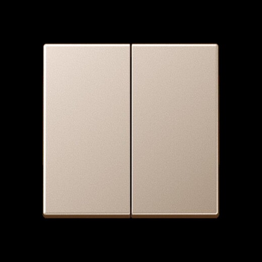 Jung Wippe 2fach, Serie A, champagner A595CH