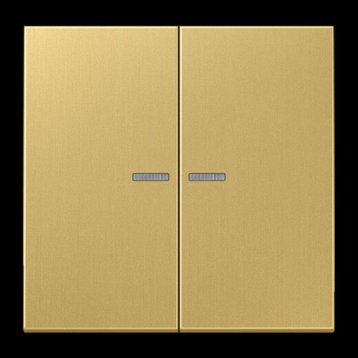 Jung Wippe 2fach mit Lichtleiter, Messing, Serie LS, Messing classic ME2995KO5C