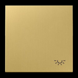 Jung Wippe 1fach, Symbol Licht, Messing, Serie LS,...