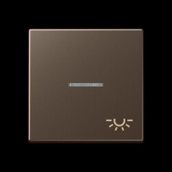 Jung Wippe 1fach mit Lichtleiter, Symbol Licht, Serie A,...