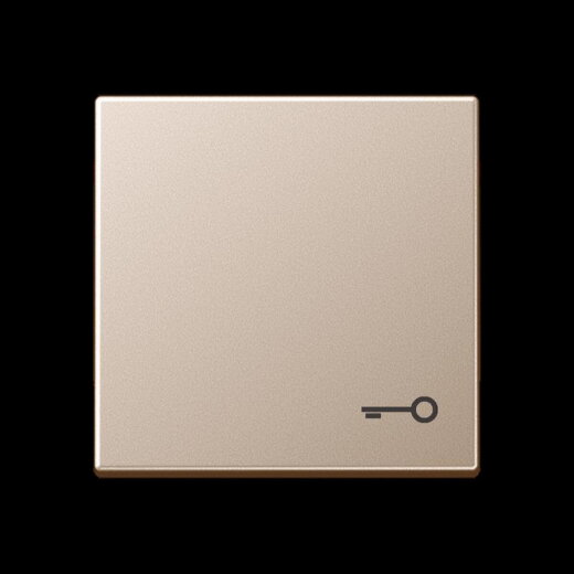 Jung Wippe, Symbol Tür, Serie A, champagner A590TCH