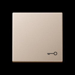 Jung Wippe, Symbol Tür, Serie A, champagner A590TCH