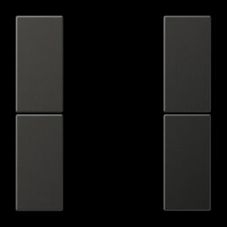 Jung Tastensatz 2fach, F50, Serie LS, anthrazit...