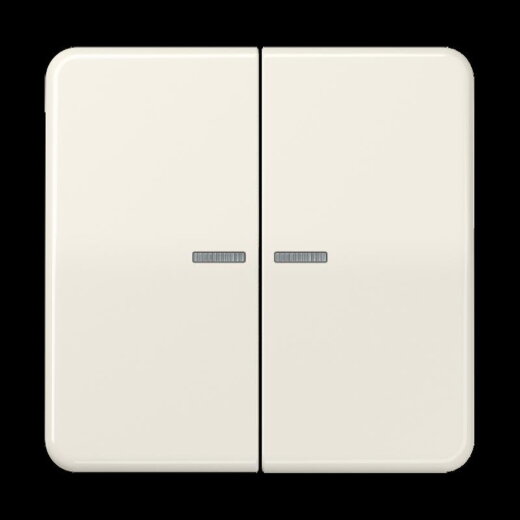 Jung Wippe 2fach mit Lichtleiter, Thermoplast, Serie CD, weiß CD595KO5BF