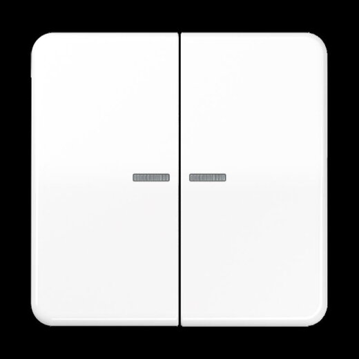 Jung Wippe 2fach mit Lichtleiter, Thermoplast, Serie CD, alpinweiß CD595KO5BFWW