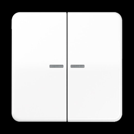 Jung Wippe 2fach mit Lichtleiter, Duroplast, Serie CD, alpinweiß CD595KO5WW