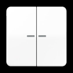 Jung Wippe 2fach mit Lichtleiter, Duroplast, Serie CD,...