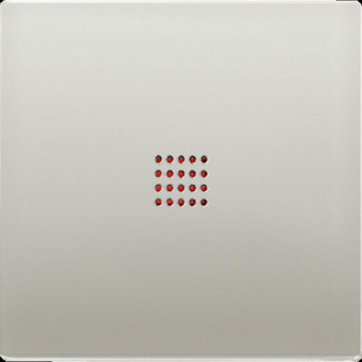 Jung Wippe mit Lichtaustrittsfenster 1fach mit Lichtleiter, Serie LS, Edelstahl ES2990KO2