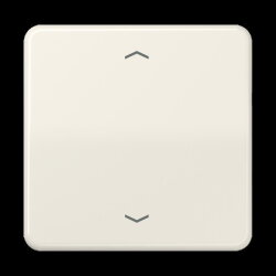 Jung Wippe 1fach, mit Pfeilsymbolen, Duroplast, Serie CD,...