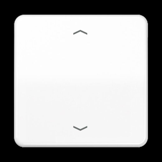 Jung Wippe 1fach, mit Pfeilsymbolen, Duroplast, Serie CD, alpinweiß CD590PWW