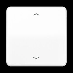 Jung Wippe 1fach, mit Pfeilsymbolen, Duroplast, Serie CD,...