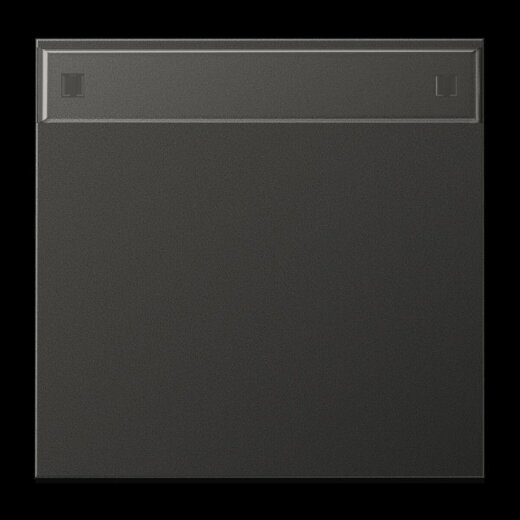 Jung Wippe 1fach, mit Schriftfeld, Aluminium lackiert, Serie LS, anthrazit (lackiertes Aluminium) AL2990NAAN